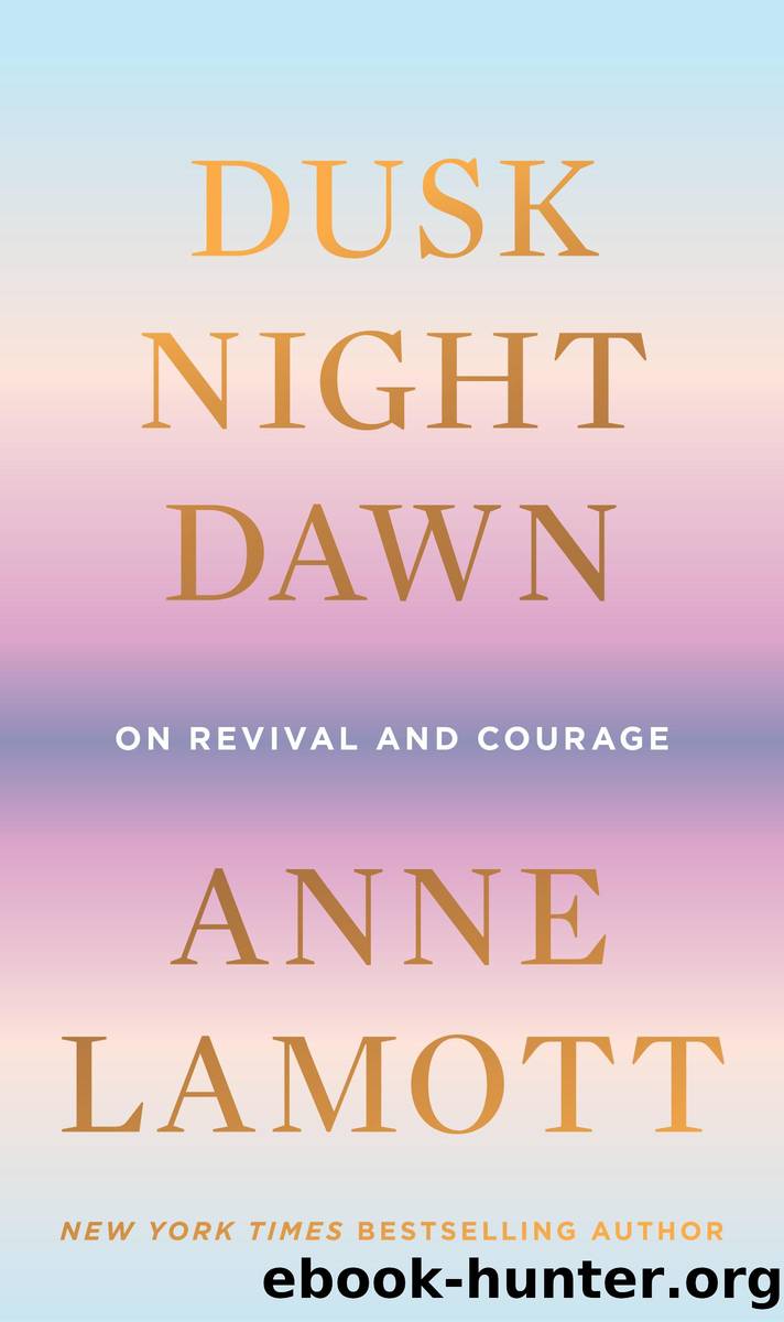 Dusk, Night, Dawn by Anne Lamott
