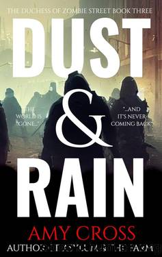 Dust & Rain by Amy Cross
