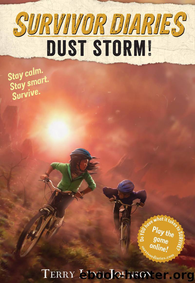 Dust Storm! by Terry Lynn Johnson