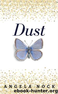 Dust by Angela Nock