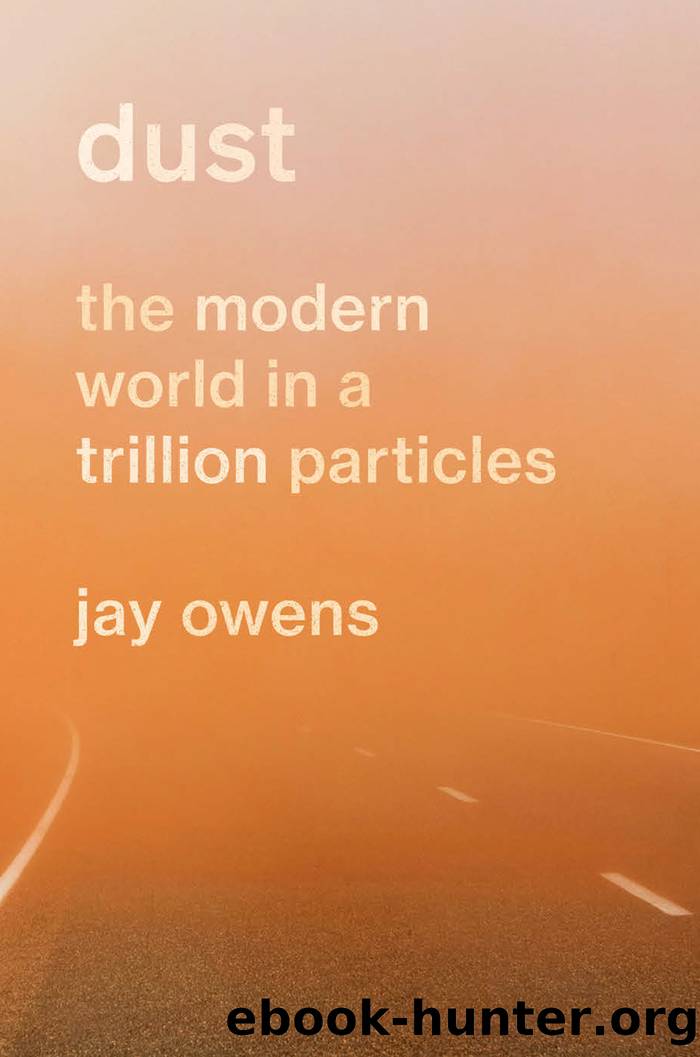 Dust by Jay Owens