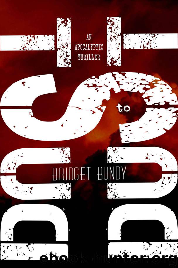Dust to Dust: An Apocalyptic Thriller by Bridget Bundy