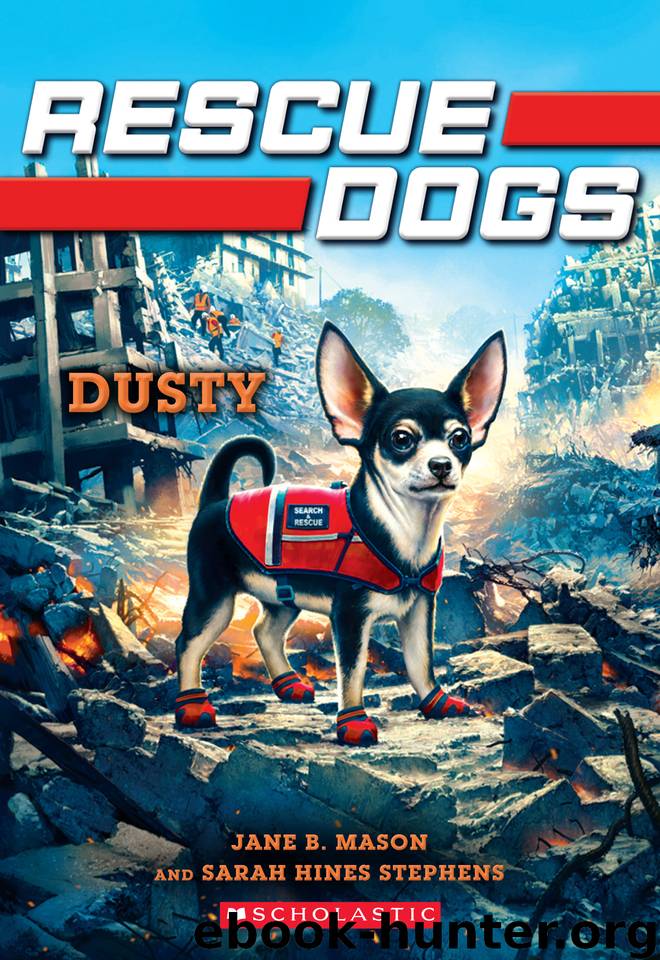 Dusty by Jane B. Mason