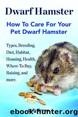 Dwarf Hamster by Lolly Brown