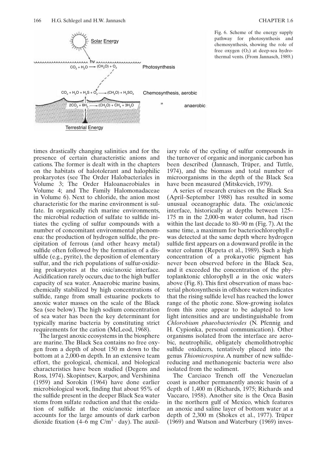 Dworkin The Prokaryotes-A Handbook on the Biology of Bacteria 3rd ed Vol 1 by Unknown