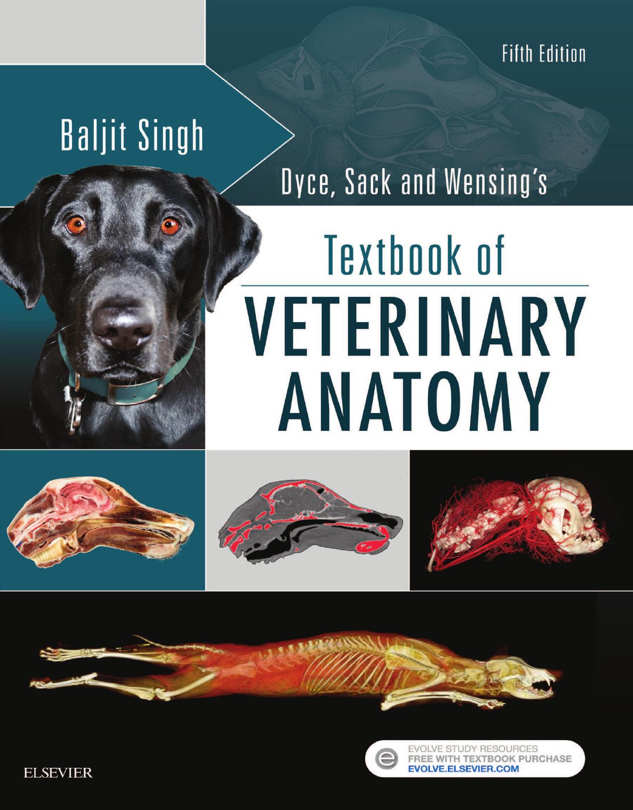 Dyce, Sack, And Wensing's Textbook Of Veterinary Anatomy by Dyce Keith M