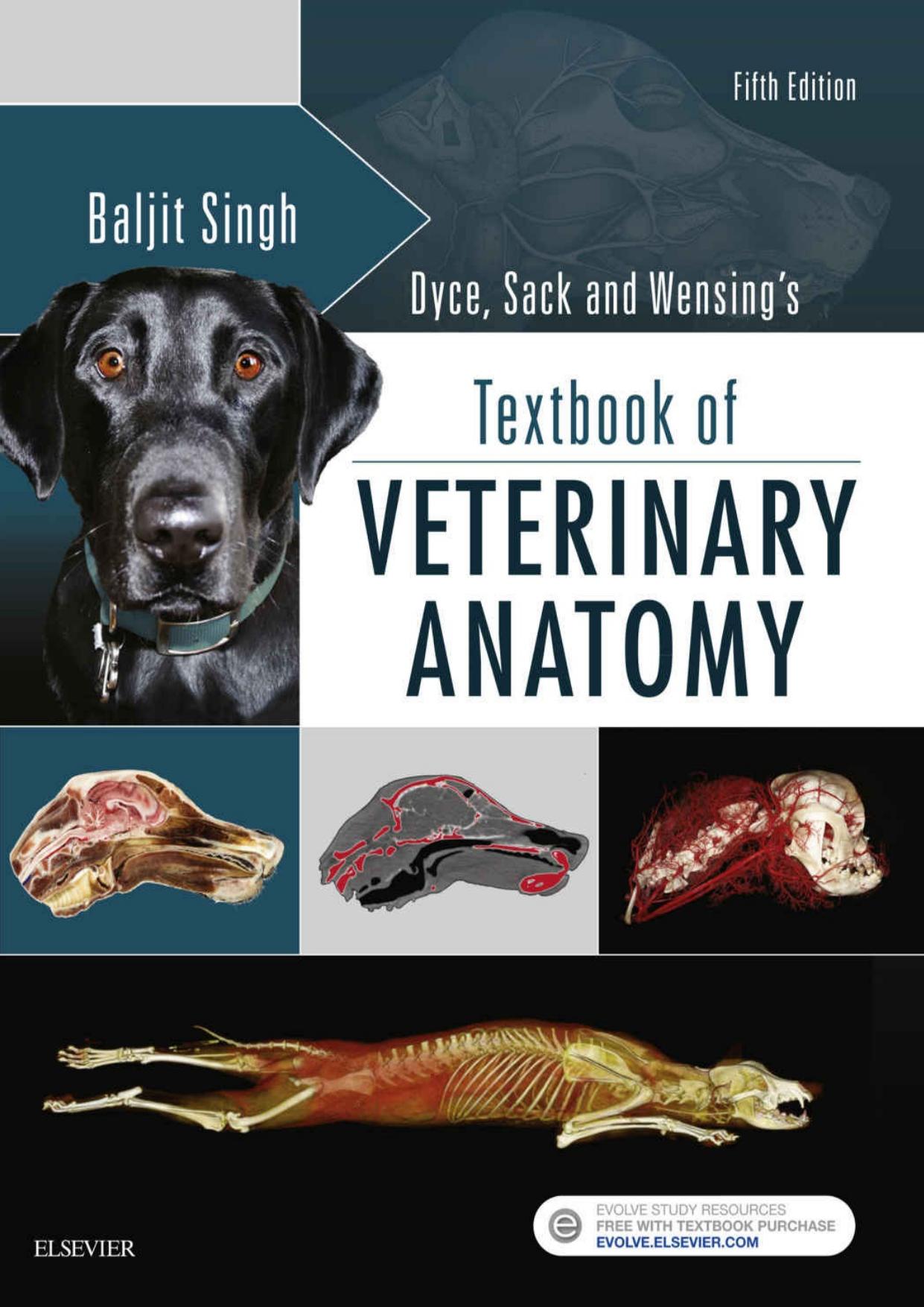 Dyce, Sack, and Wensingâs Textbook of Veterinary Anatomy by Keith M. Dyce