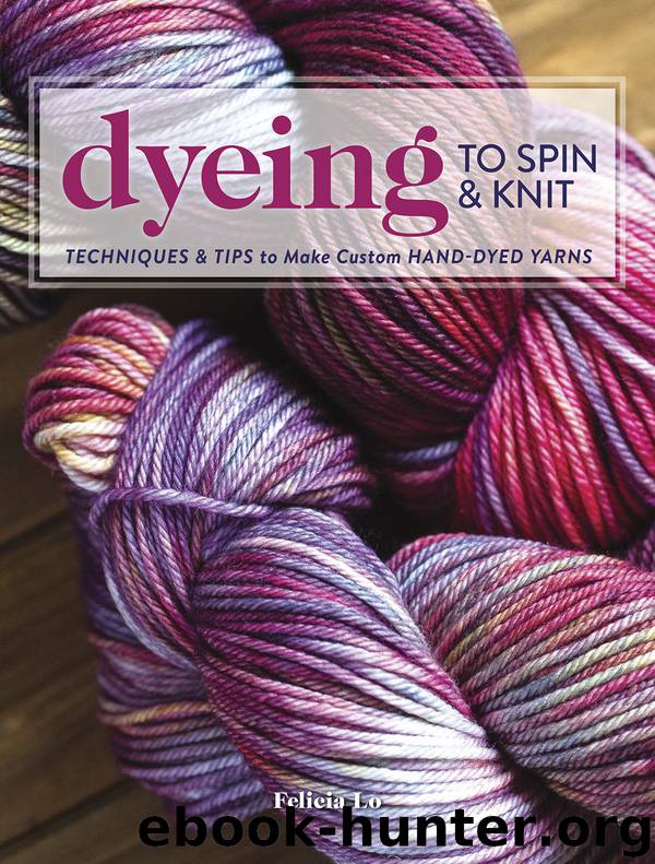 Dyeing to Spin & Knit by Felicia Lo