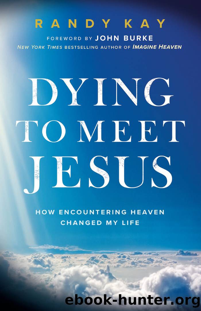 Dying to Meet Jesus : How Encountering Heaven Changed My Life (9781493422906) by Kay Randy; Burke John (FRW)