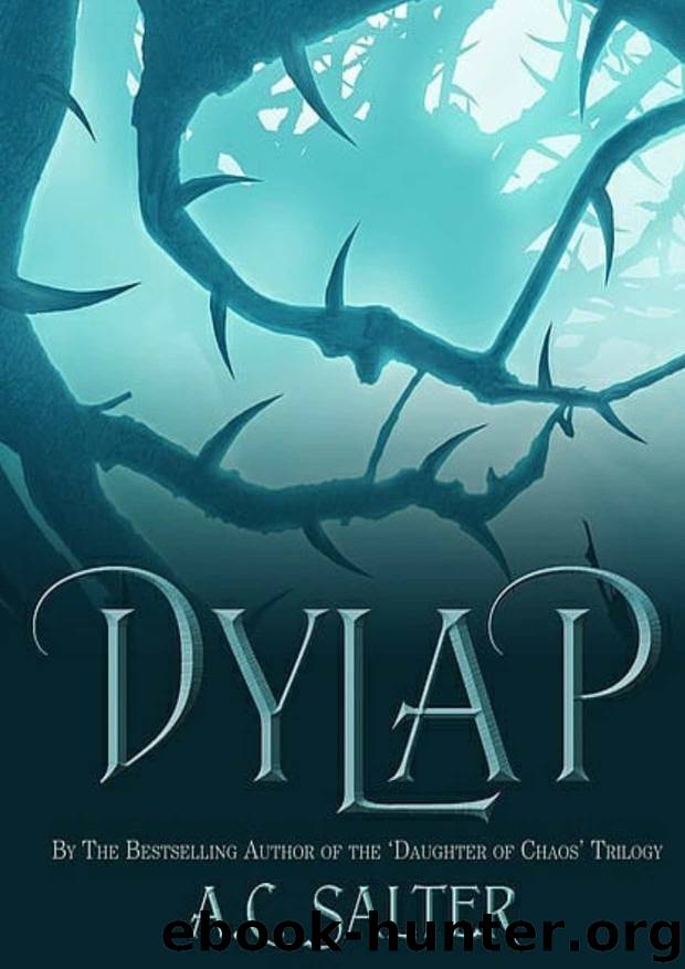Dylap by A.C. Salter