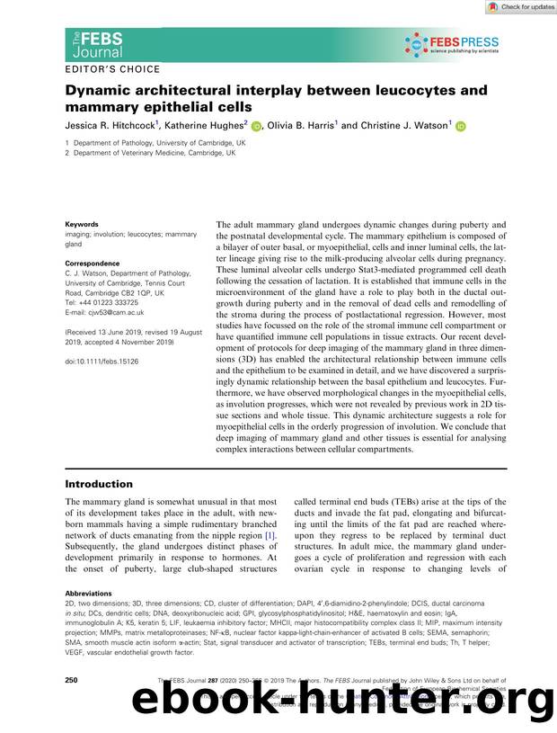 Dynamic architectural interplay between leucocytes and mammary epithelial cells by Unknown