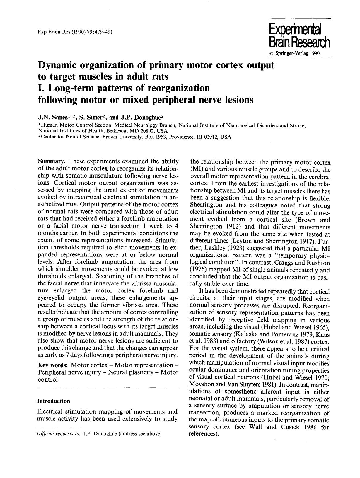 Dynamic organization of primary motor cortex output to target muscles in adult rats I. Long-term patterns of reorganization following motor or mixed peripheral nerve lesions by Unknown
