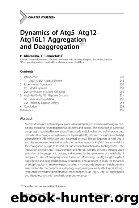Dynamics of Atg5-Atg12-Atg16L1 Aggregation and Deaggregation by P. Kharaziha & T. Panaretakis