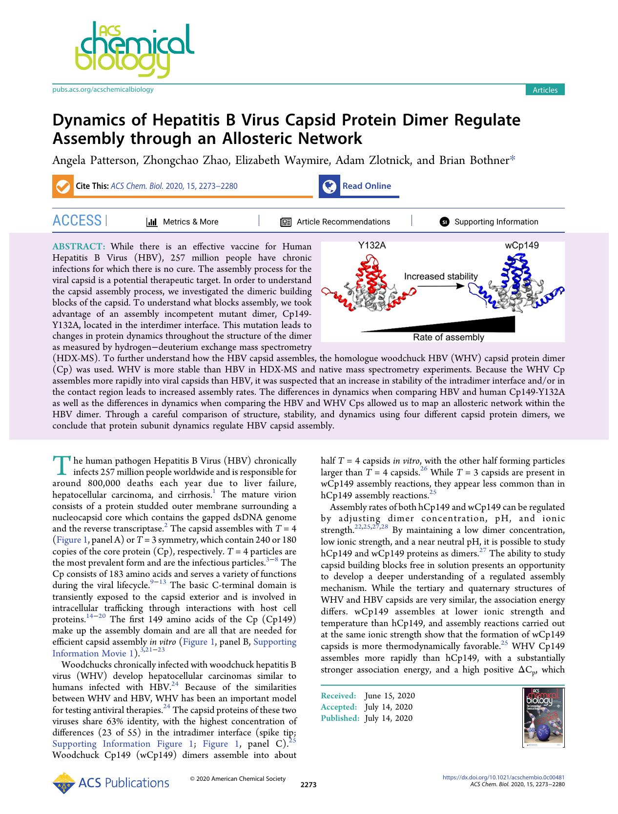Dynamics of Hepatitis B Virus Capsid Protein Dimer Regulate Assembly through an Allosteric Network by Angela Patterson Zhongchao Zhao Elizabeth Waymire Adam Zlotnick and Brian Bothner