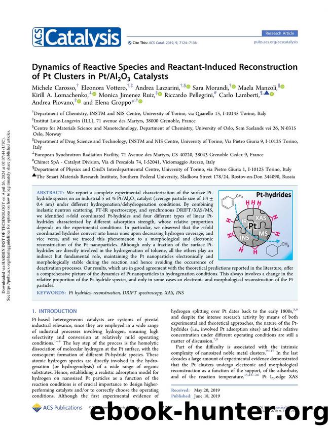 Dynamics of Reactive Species and Reactant-Induced Reconstruction of Pt Clusters in PtAl2O3 Catalysts by unknow