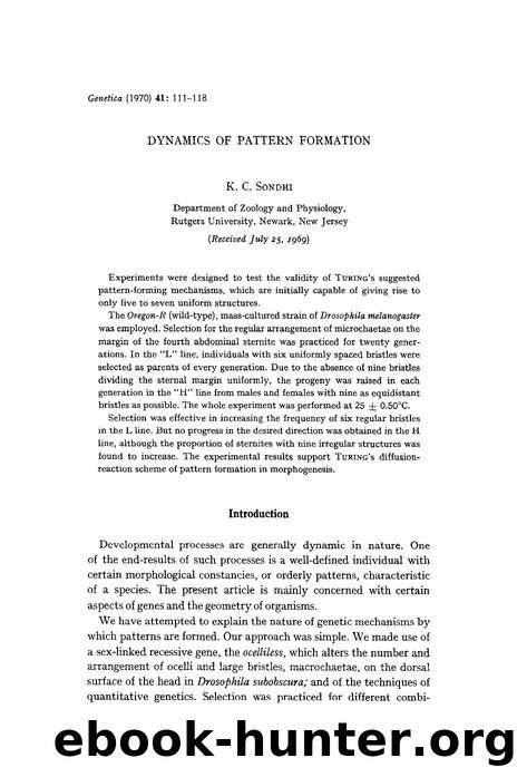 Dynamics of pattern formation by Unknown