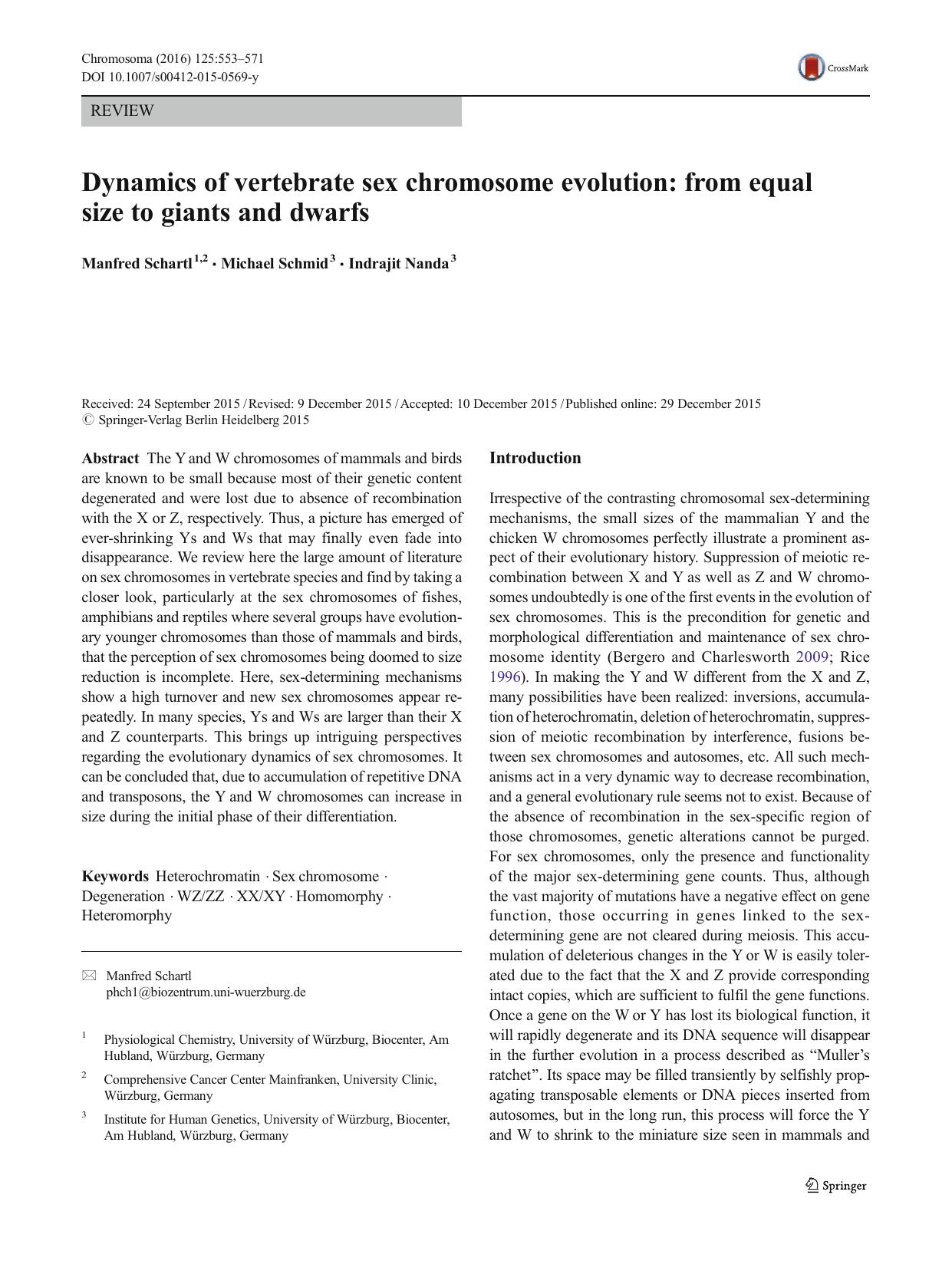 Dynamics of vertebrate sex chromosome evolution: from equal size to giants and dwarfs by Manfred Schartl & Michael Schmid & Indrajit Nanda