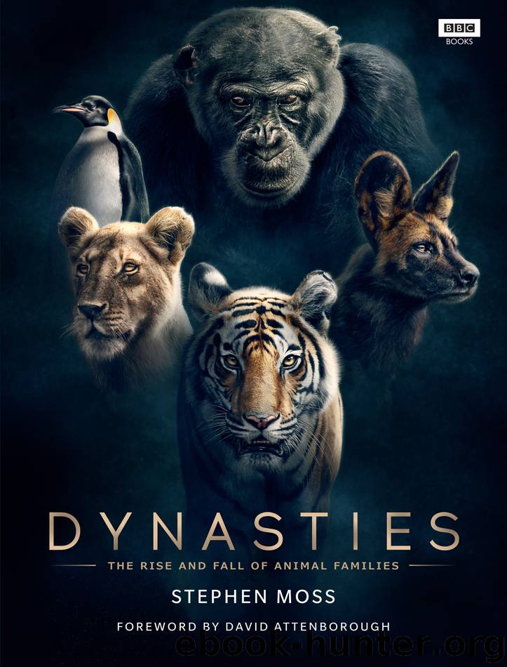 Dynasties by Stephen Moss