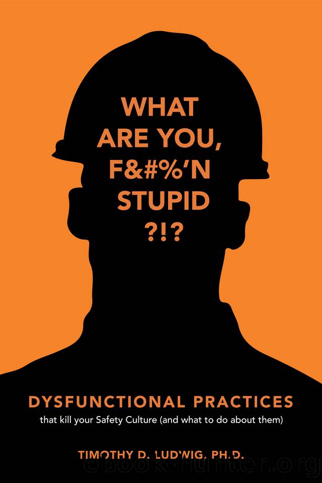 Dysfunctional Practices: that kill your Safety Culture (and what to do about them) by Ludwig Timothy