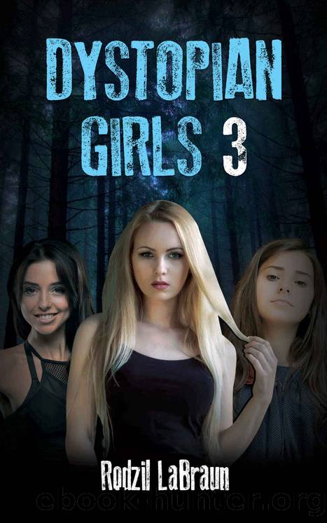 Dystopian Girls 3 by Rodzil LaBraun