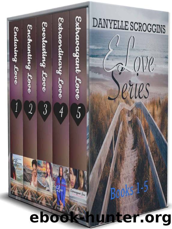 E Love Series Box Set by Danyelle Scroggins