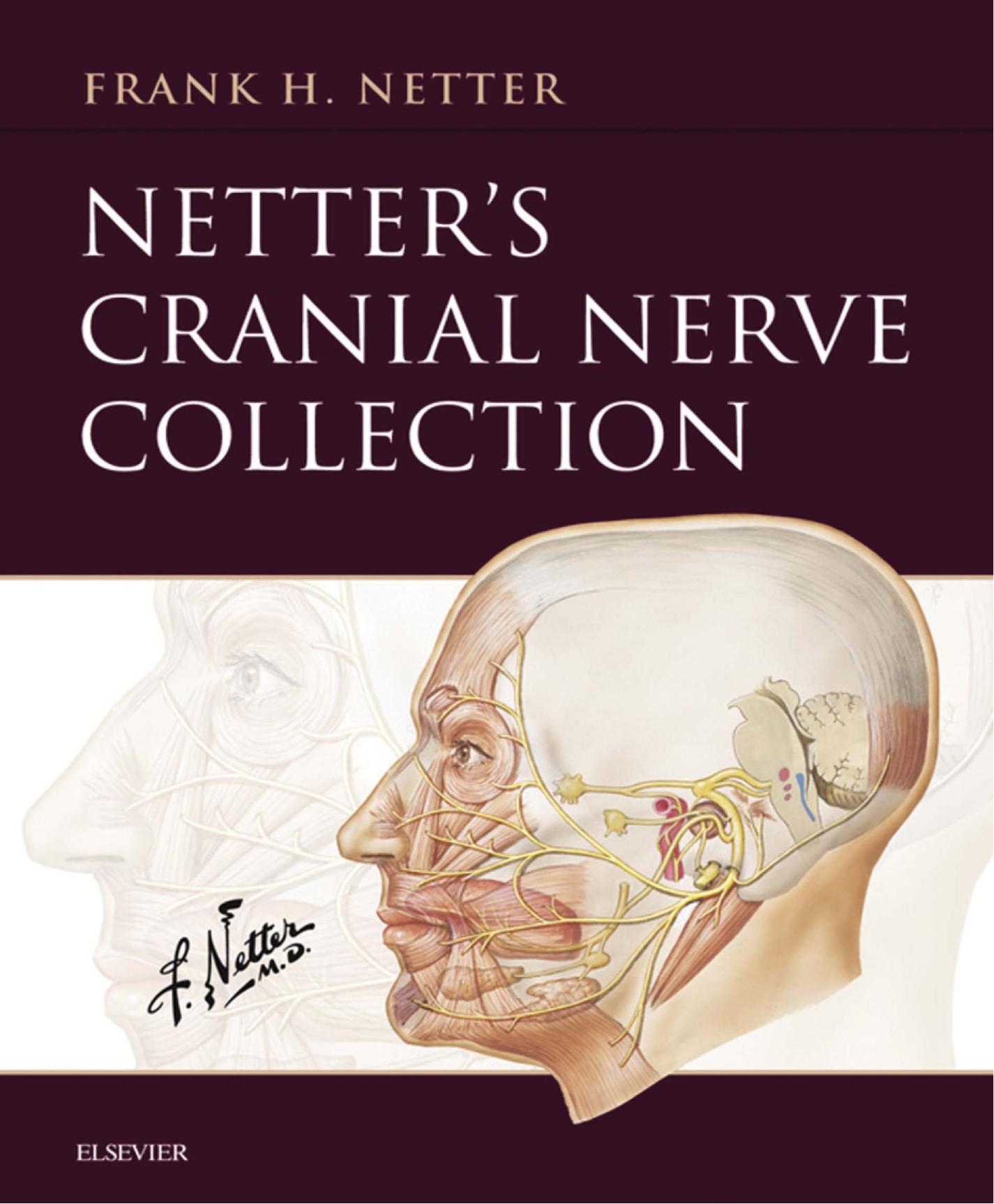 E-Derivative Netter S Cranial Nerve Collection by Frank H. Netter
