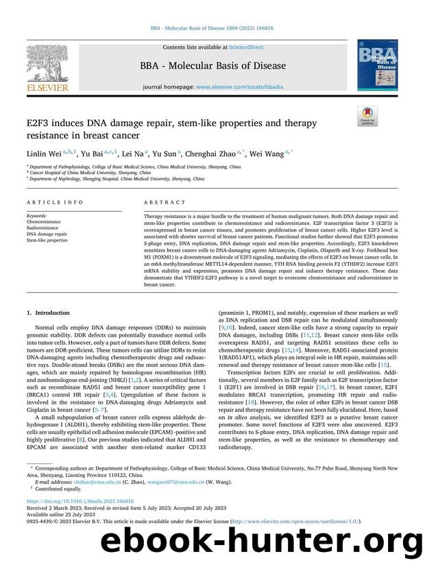 E2F3 induces DNA damage repair, stem-like properties and therapy resistance in breast cancer by Linlin Wei & Yu Bai & Lei Na & Yu Sun & Chenghai Zhao & Wei Wang