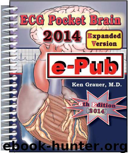 ECG-2014-Pocket Brain (Expanded) by Grauer Ken