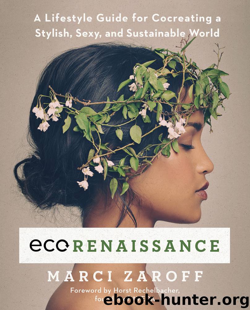 ECOrenaissance by Marci Zaroff