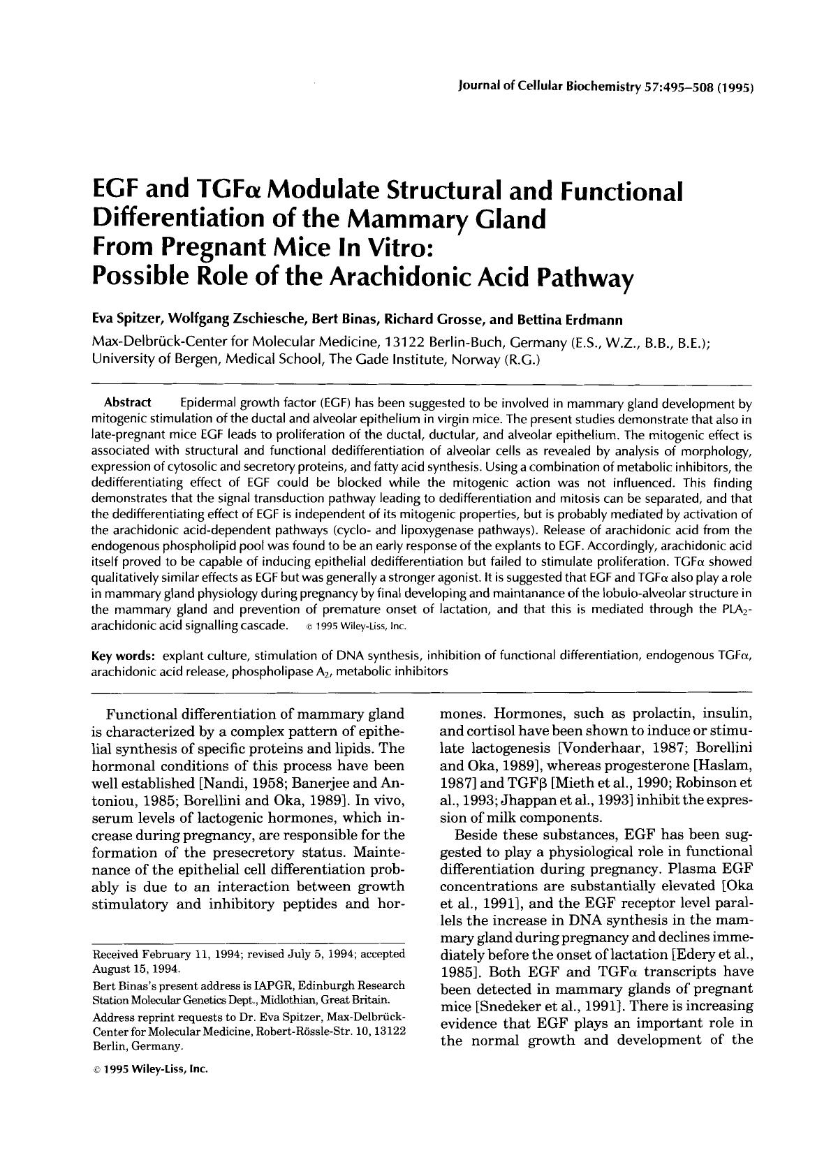 EGF and TGF[alpha] modulate structural and functional differentiation of the mammary gland from pregnant mice in vitro: Possible role of the arachidonic acid pathway by Unknown