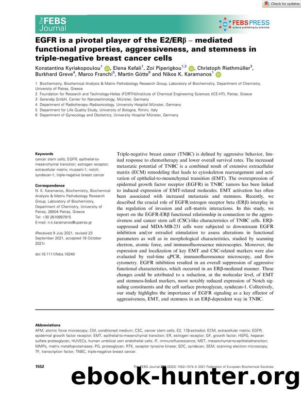 EGFR is a pivotal player of the E2ERÎ² â mediated functional properties, aggressiveness, and stemness in tripleânegative breast cancer cells by Unknown