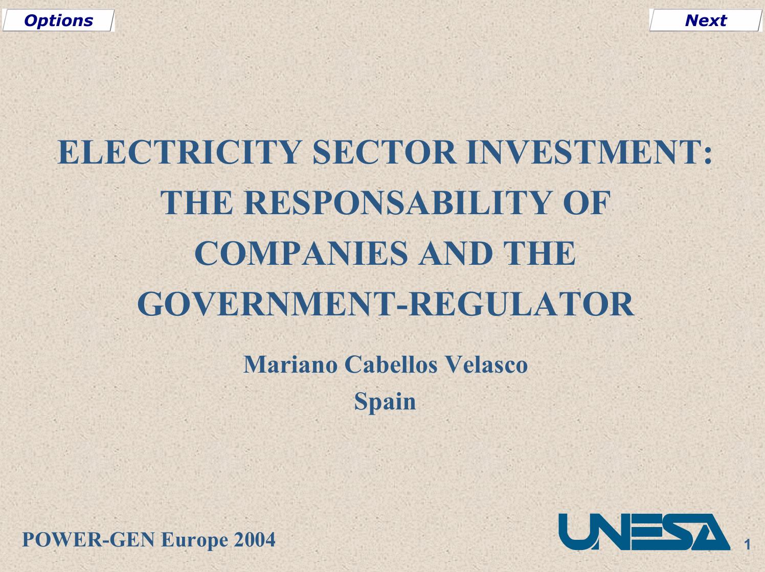 ELECTRICITY SECTOR INVESTMENT: THE RESPONSABILITY OF COMPANIES AND THE GOVERNMENT-REGULATOR by Secure Data Services (01425 621262)