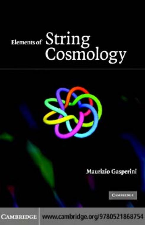 ELEMENTS OF STRING COSMOLOGY by MAURIZIO GASPERINI