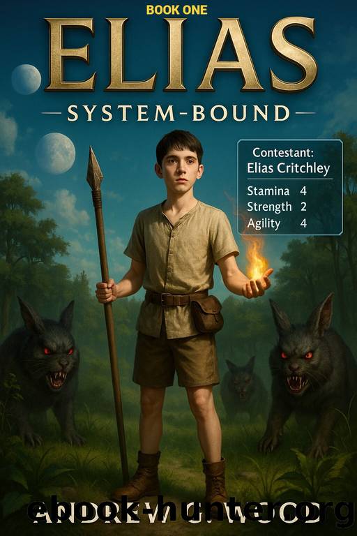 ELIAS - SYSTEM-BOUND: BOOK ONE - An Isekai LitRPG by ANDREW G. WOOD
