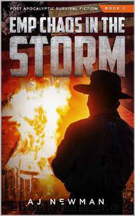 EMP (Book 2): Chaos In The Storm by Newman AJ