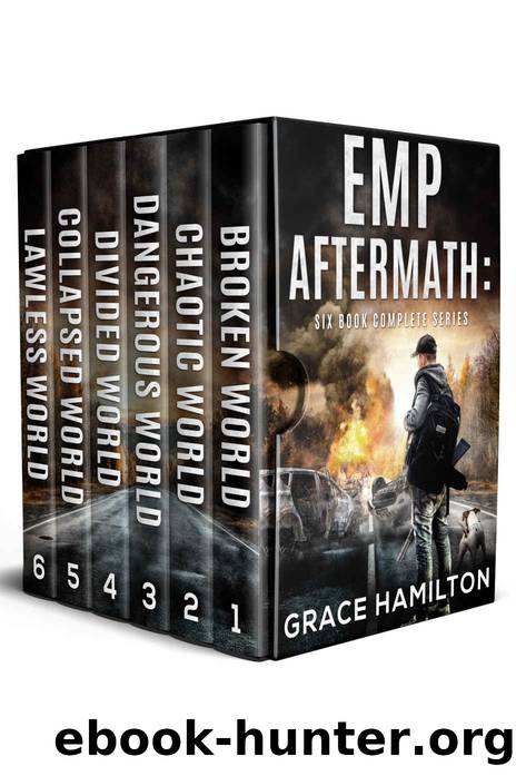 EMP Aftermath: Six Book Complete Series by Hamilton Grace