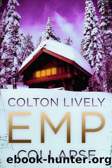 EMP Collapse: A Small Town Post Apocalypse EMP Thriller by Colton Lively