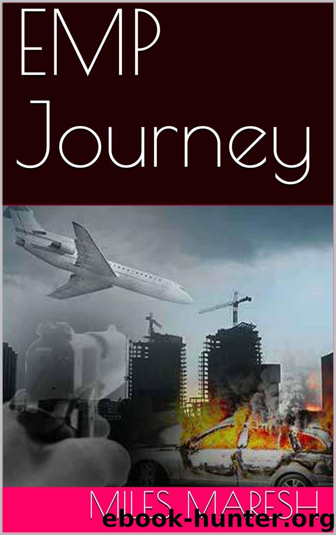 EMP Journey by Maresh Miles