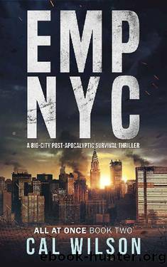 EMP NYC by Cal Wilson