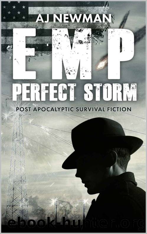 EMP Perfect Storm: Book 1 - Post Apocalyptic Survival Fiction by AJ Newman