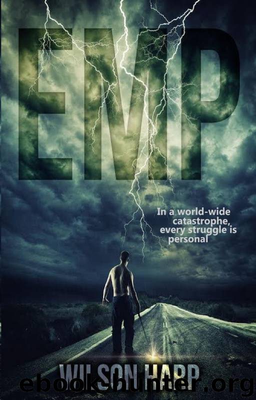 EMP by Wilson Harp
