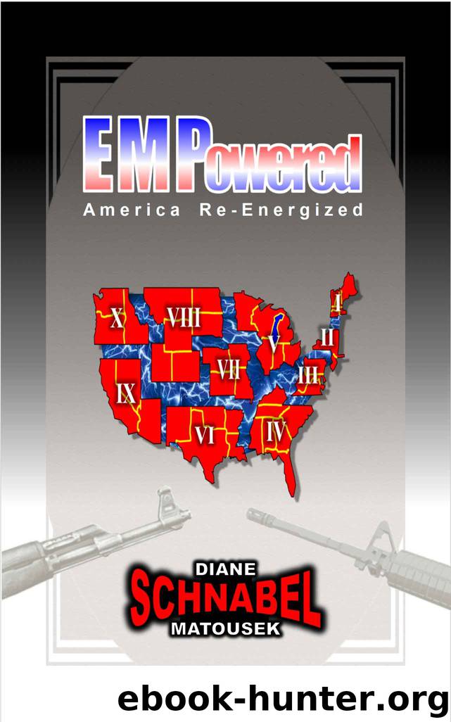 EMPowered- America Re-Energized by Diane Matousek Schnabel