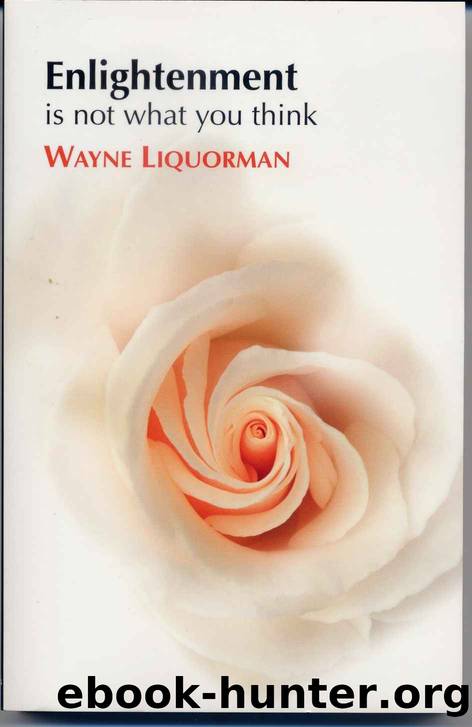 ENLIGHTENMENT IS NOT WHAT YOU THINK by Liquorman Wayne