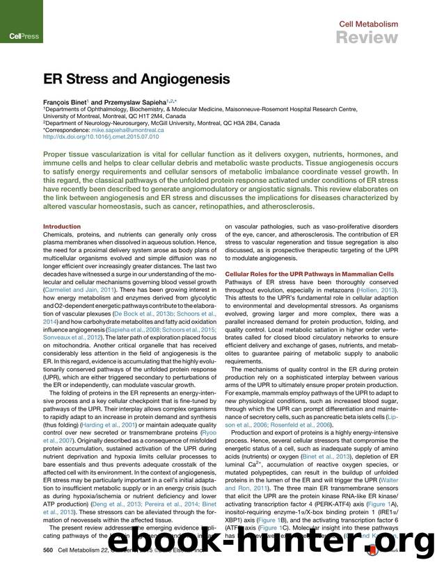 ER Stress and Angiogenesis by François Binet & Przemyslaw Sapieha