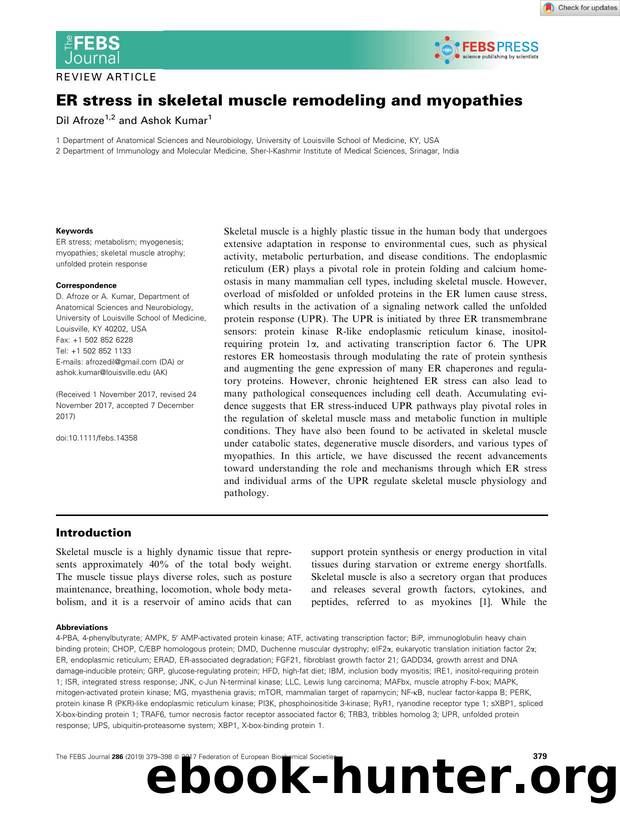 ER stress in skeletal muscle remodeling and myopathies by Unknown