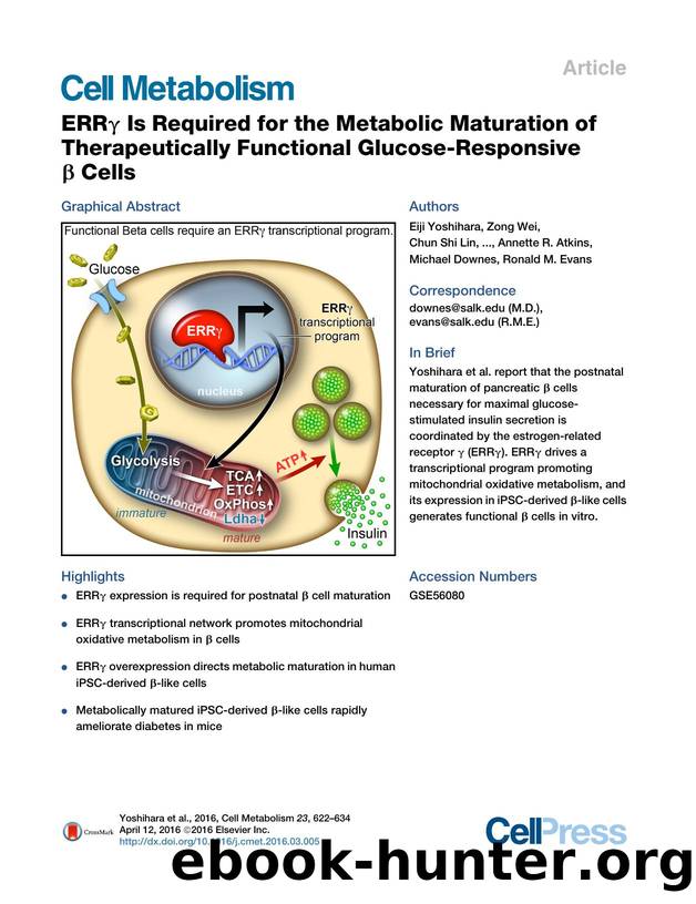 ERR&gamma; Is Required for the Metabolic Maturation of Therapeutically Functional Glucose-Responsive &beta;&nbsp;Cells by unknow