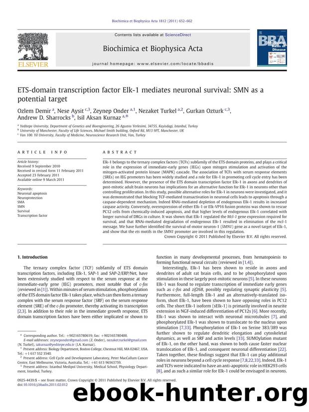 ETS-domain transcription factor Elk-1 mediates neuronal survival: SMN as a potential target by Ozlem Demir