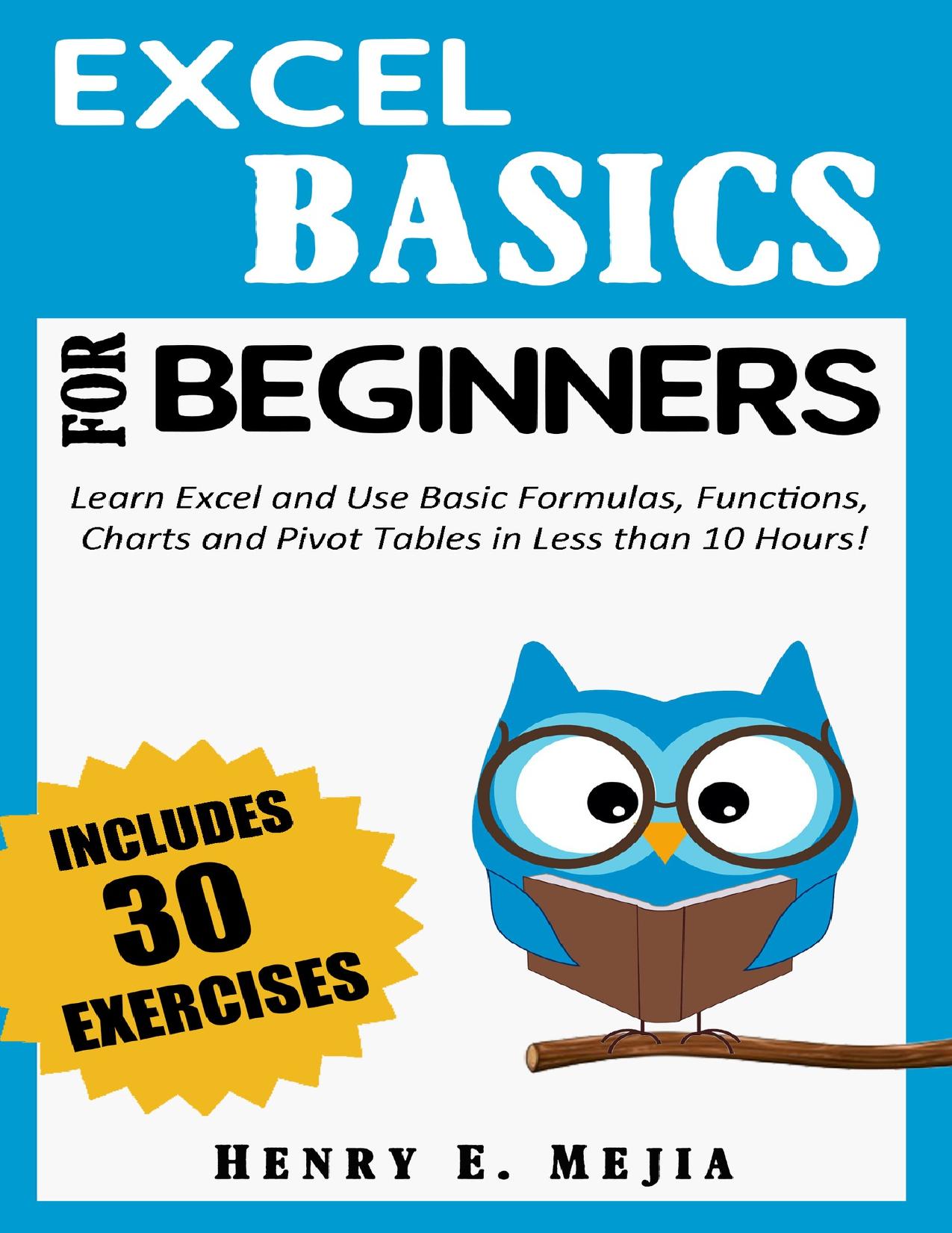 EXCEL BASICS FOR BEGINNERS: Learn Excel and Use Basic Formulas, Functions, Charts and Pivot Tables in Less Than 10 Hours! by Mejia Henry E
