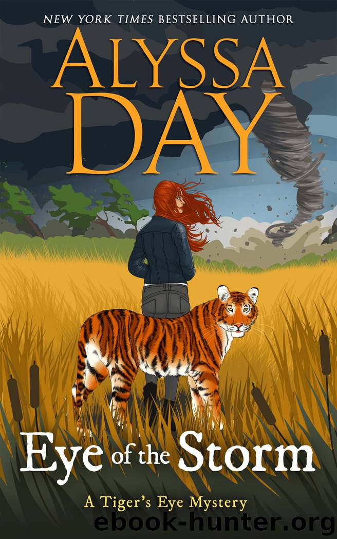 EYE OF THE STORM by Alyssa Day
