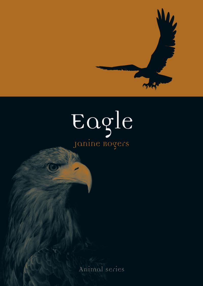 Eagle (Animal) by Unknow